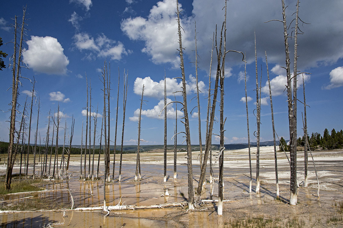 Yellowstone-land